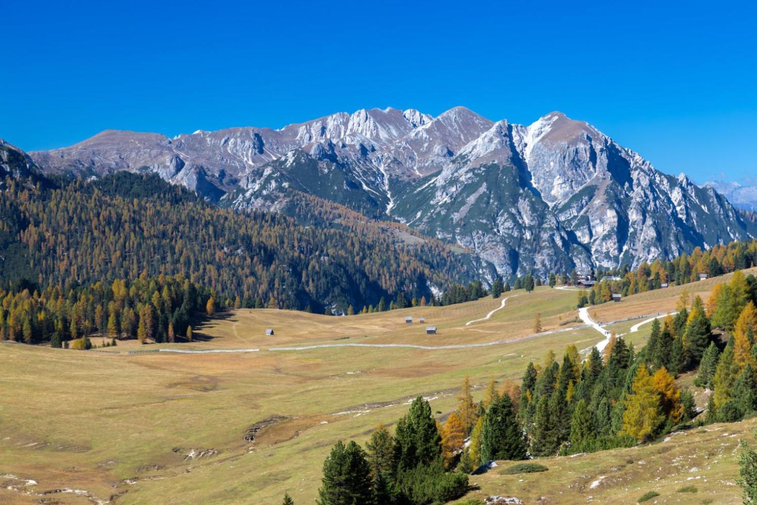 Apartments Stoll Planca di Sopra Bagian luar foto